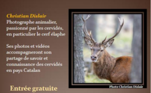 Lire la suite à propos de l’article LES CERVIDÉS EN PAYS CATALAN