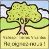 VTV